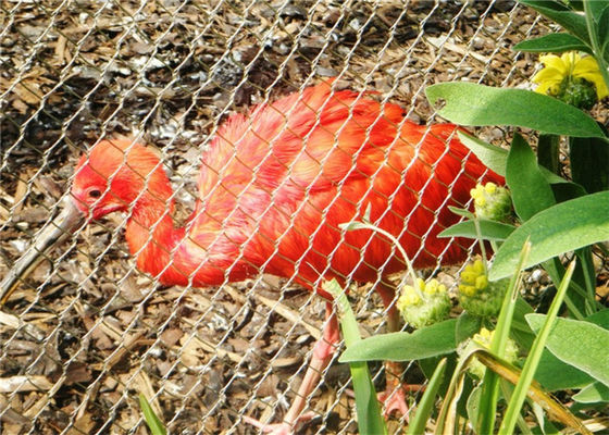 CE Approved Aviary Wire Netting with 20mm to 50mm Mesh Opening and 2.0mm Wire Diameter Stainless Steel Cable Mesh