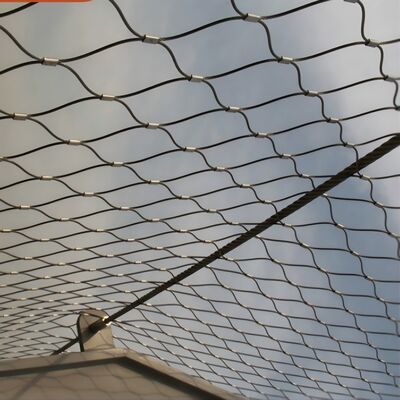 40*40mm Aperture  Stainless Steel Rope Mesh Used on Orchard Protection  Netting