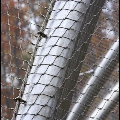 20*20mm Ferrule Stainless Steel 304/316/316L Wire Rope Plant Trellis with 50mm to 200mm Hole Size for Green Wall Mesh