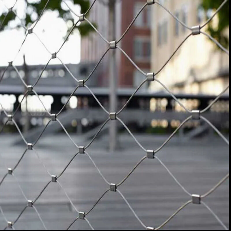 Cost-Effective Stainless Steel Wire Rope Mesh with 1.6mm to 2.4mm Wire Thickness and 50mm to 100mm Mesh Eye Size for Plant Trellis