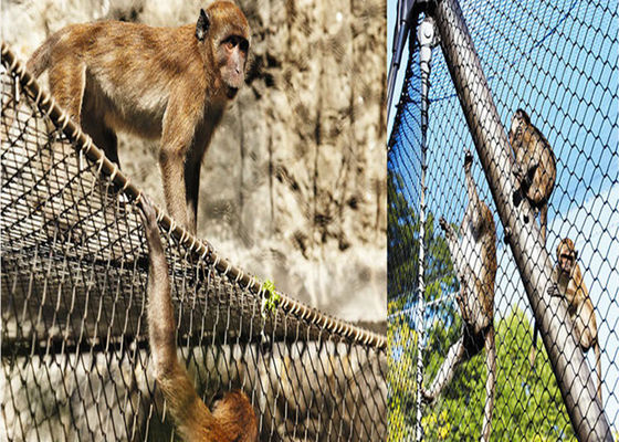능직 통 박스 포장을 얻는 1.5 밀리미터 와이어 직경 스테인레스 강 새