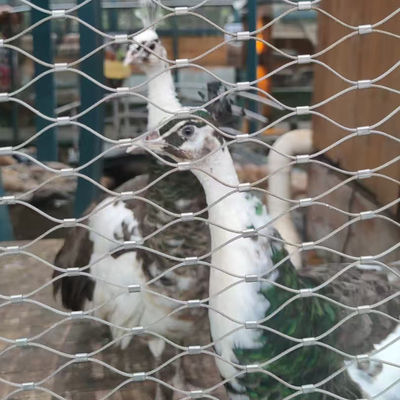 조류장 철망 유연 철자 로프 케이블 망 동물원 장벽