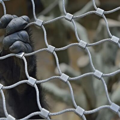 안전 장벽 을 위해 설계 된 견고한 스테인레스 스틸 케이블 망