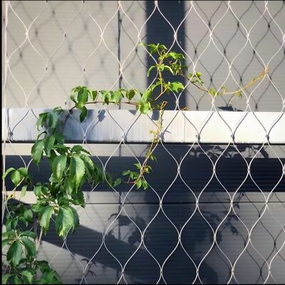 Ferrule Type Stainless Steel Rope Net For Green Plants Climbing