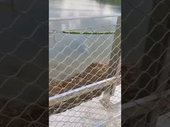 와이어 로프 메쉬 펜스