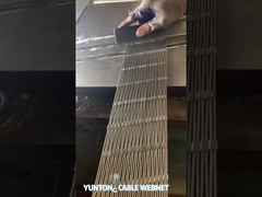 윤통 케이블 웹넷