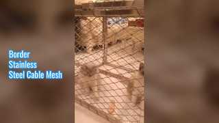 국경 스테인리스 케이블 메시
