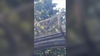 스테인레스 스틸 로프 그물 정원 울타리 가을 보호