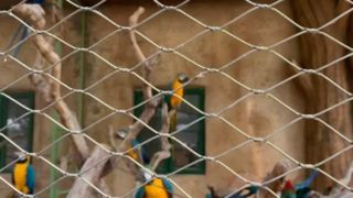 짠 스테인레스 스틸 와이어 케이블 메쉬는 어떻게 생겼습니까?